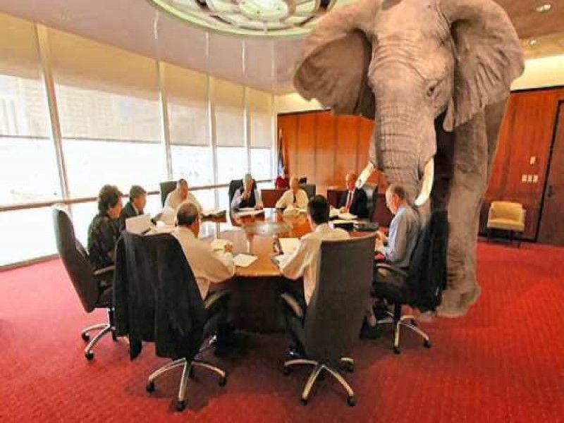 Is the elephant in the room?