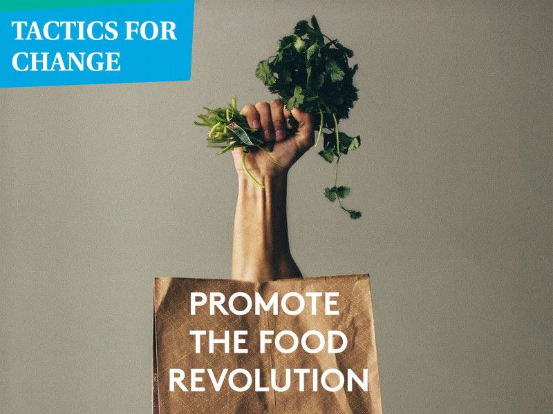 Tactics For Change: Promote the Food Revolution