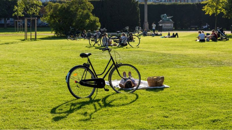 A bicycle parked in a park in Copenhagen